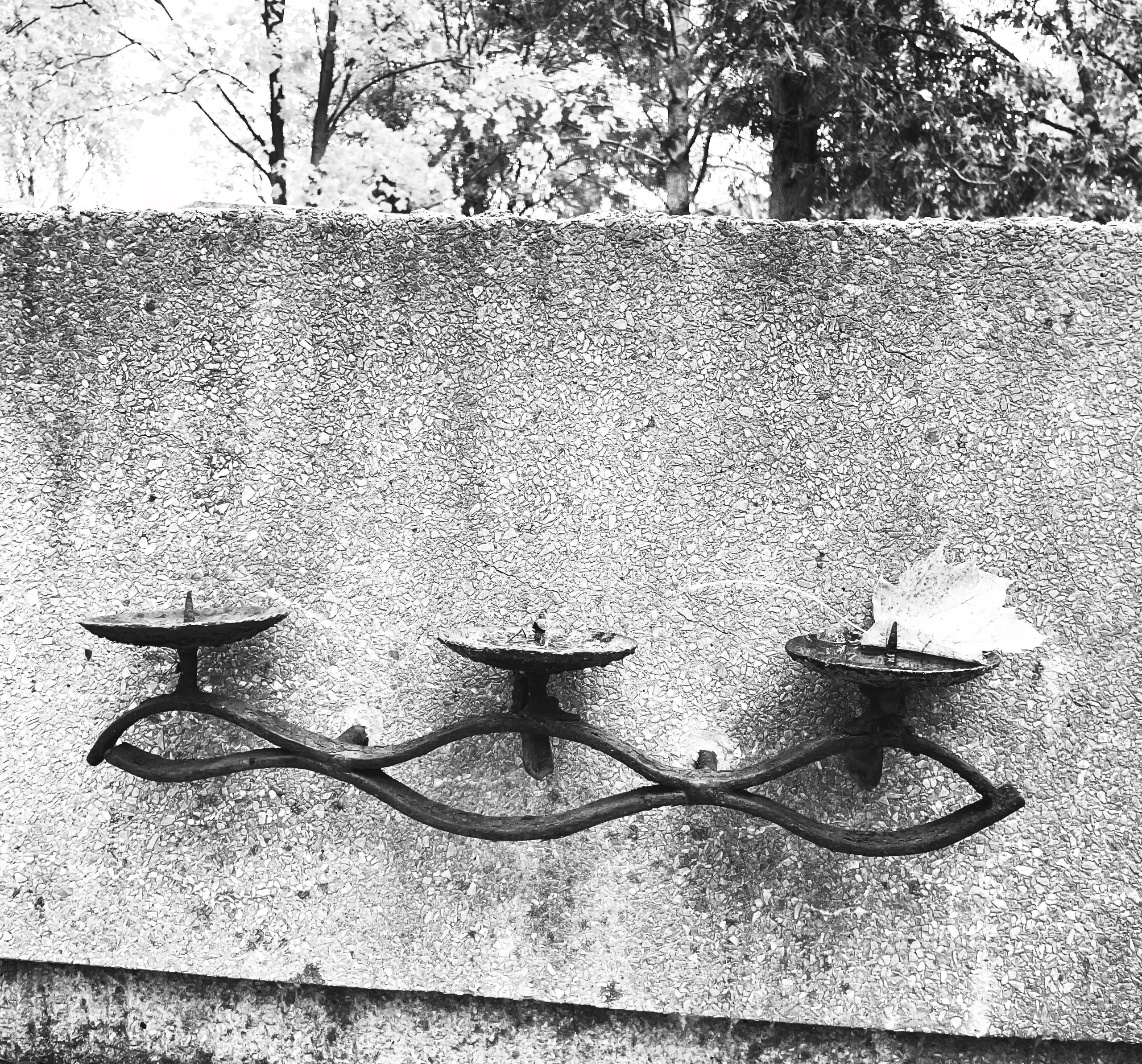 Rwie się życia przędza — śpiewanie pieśni za zmarłych — 2 XI 2025 Toruń